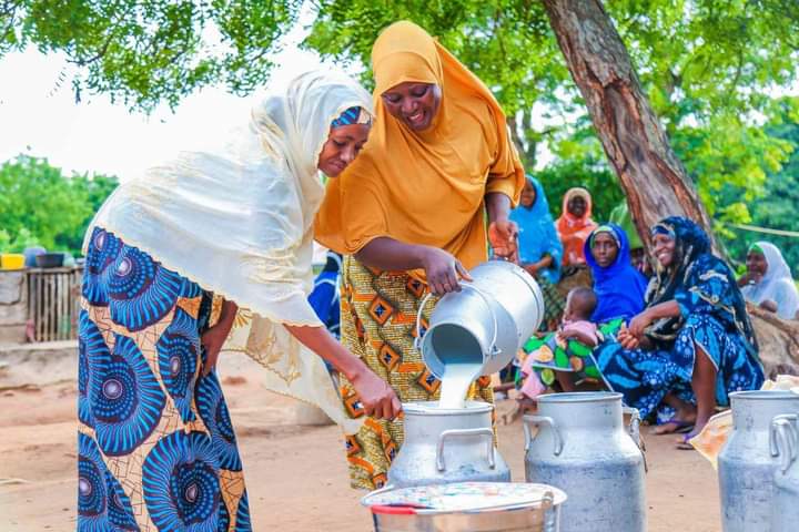 FrieslandCampina-led Value4Dairy Consortium gets m grant to boost dairy production