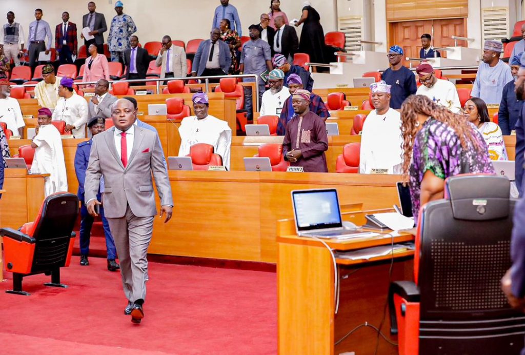 Domestic Violence: Lagos Assembly Urges Enlightenment Units In Schools