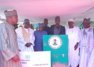 Zulum approves distribution of N1bn grant for SMEs in Biu, Hawul