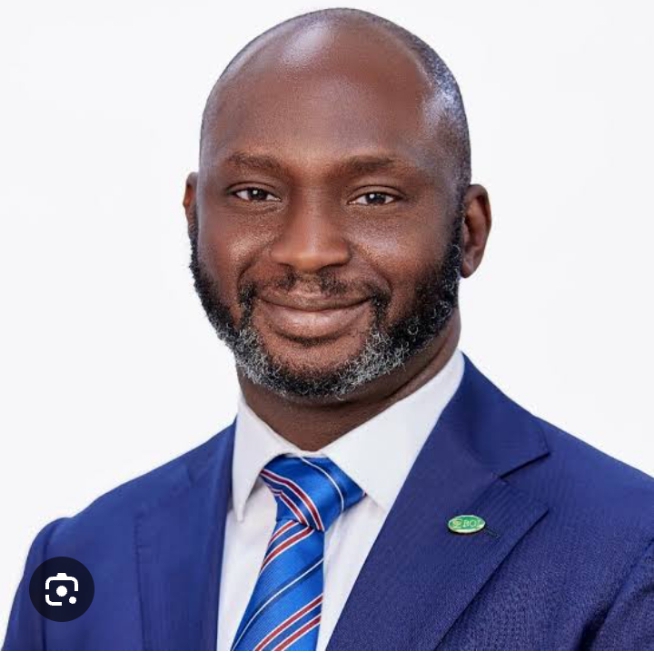 ABBA KABIR YUSUF, SUPO OLUSI, IMASUEN & EMERUWA BAG 2025 AIFF MERIT AWARD