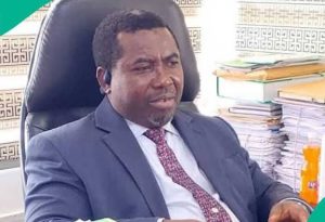 New Electoral Act Or Self-Coronation in Disguise?  By Gbenga Shaba