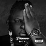 WHY I AM CALLED THE NEW WAVE AFROBEAT SENSATION – SPECKO