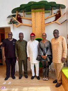 Advanced Neonatal and Pediatric ICU births in Ikeja