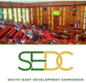 Senate Committee Summons SEDC Over Spending, Project Implementation  By Chris Ujah
