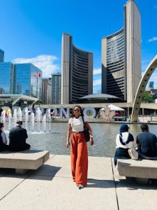 How Nigerians Abroad Can Grow Wealth at Home
