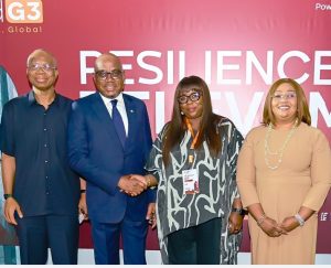 Scale Creates Opportunity, Institutional Discipline Makes Value Endure, Says Innocent C. Ike 